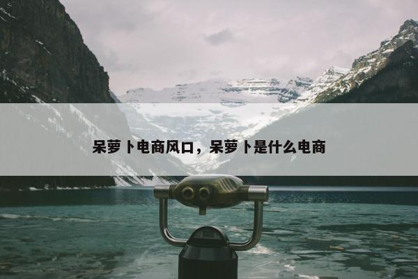 呆萝卜电商风口，呆萝卜是什么电商
