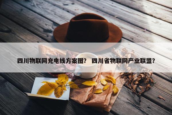 四川物联网充电线方案图？ 四川省物联网产业联盟？