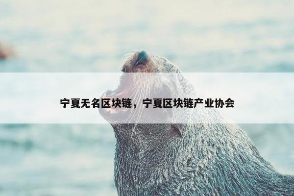 宁夏无名区块链，宁夏区块链产业协会