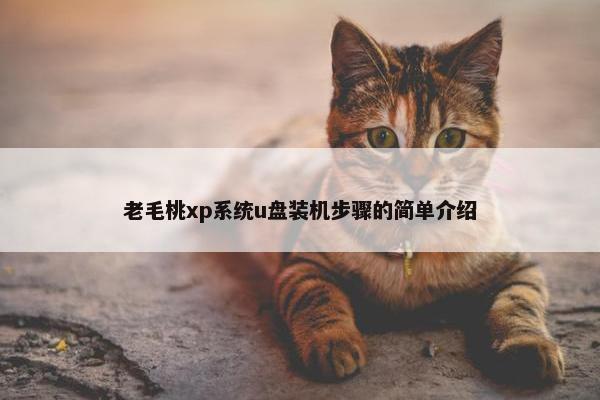 老毛桃xp系统u盘装机步骤的简单介绍