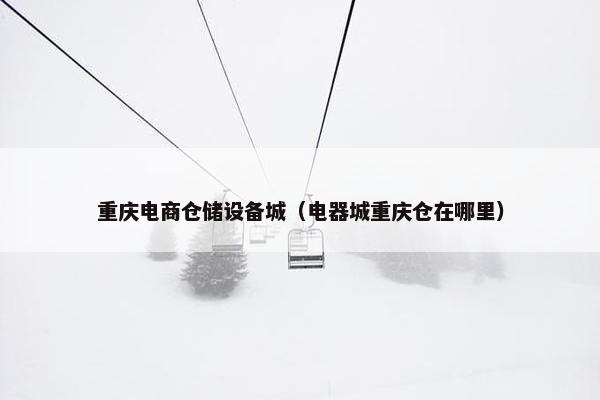 重庆电商仓储设备城（电器城重庆仓在哪里）