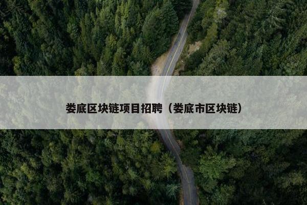 娄底区块链项目招聘（娄底市区块链）