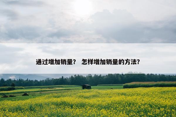 通过增加销量？ 怎样增加销量的方法？