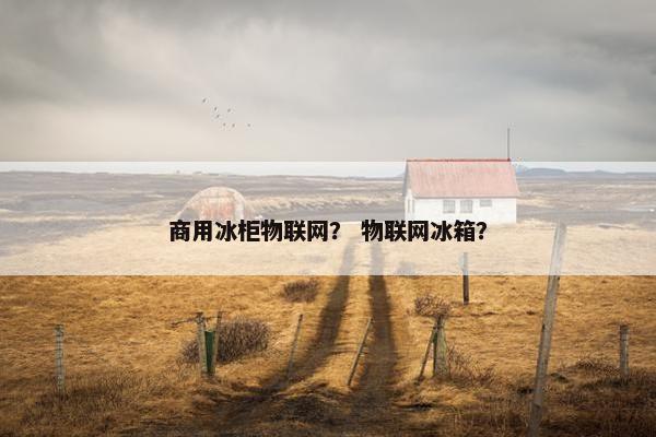 商用冰柜物联网？ 物联网冰箱？