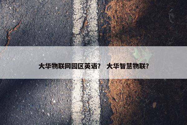 大华物联网园区英语？ 大华智慧物联？