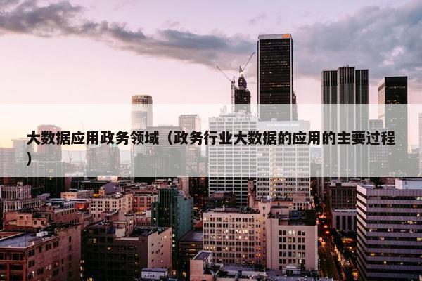 大数据应用政务领域（政务行业大数据的应用的主要过程）