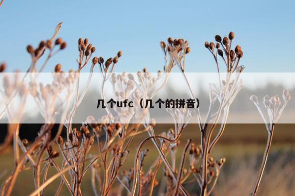 几个ufc（几个的拼音）