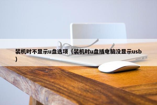 装机时不显示u盘选项（装机时u盘插电脑没显示usb）