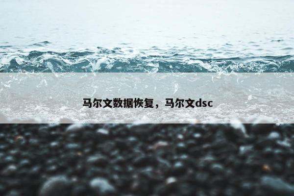 马尔文数据恢复，马尔文dsc
