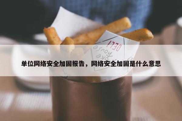 单位网络安全加固报告，网络安全加固是什么意思