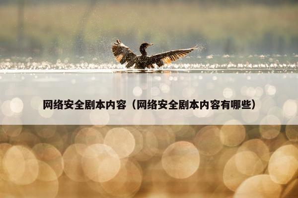 网络安全剧本内容（网络安全剧本内容有哪些）