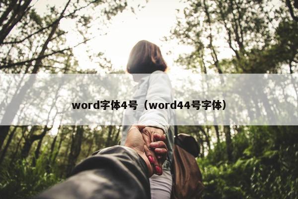 word字体4号（word44号字体）