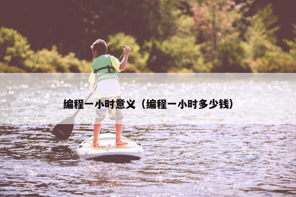 编程一小时意义（编程一小时多少钱）
