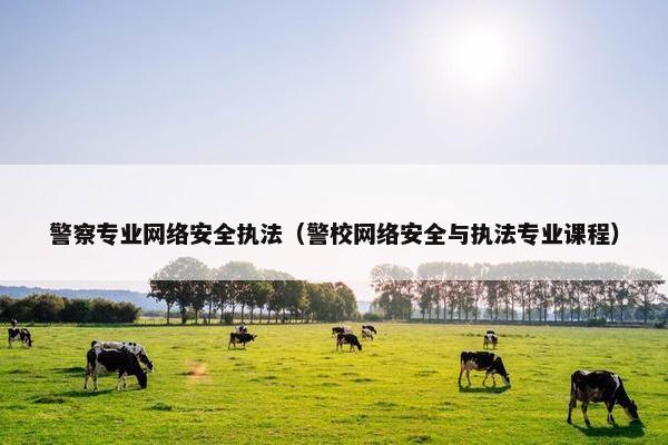 警察专业网络安全执法（警校网络安全与执法专业课程）
