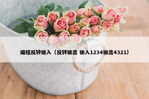 编程反转输入（反转输出 输入1234输出4321）