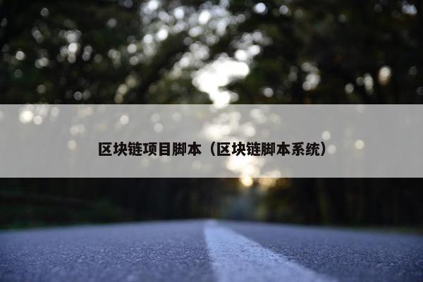 区块链项目脚本（区块链脚本系统）