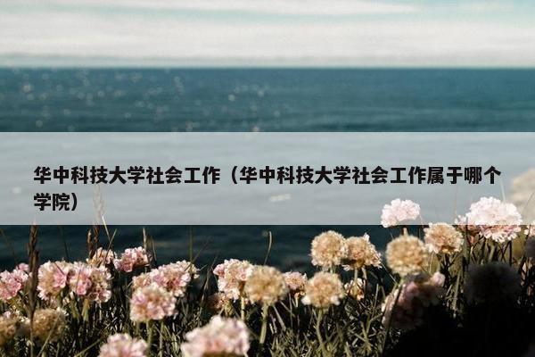 华中科技大学社会工作（华中科技大学社会工作属于哪个学院）