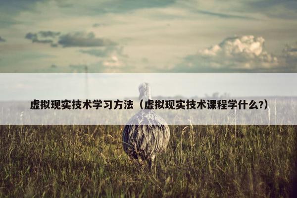 虚拟现实技术学习方法（虚拟现实技术课程学什么?）