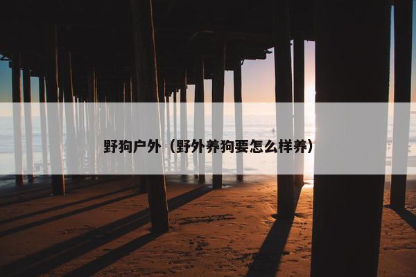 野狗户外（野外养狗要怎么样养）