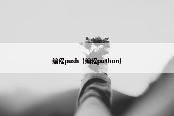 编程push（编程puthon）