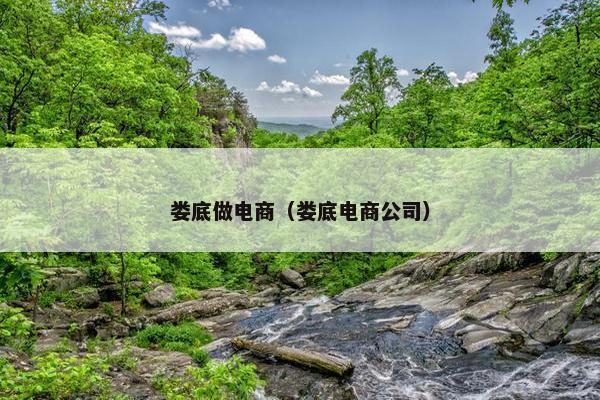 娄底做电商（娄底电商公司）