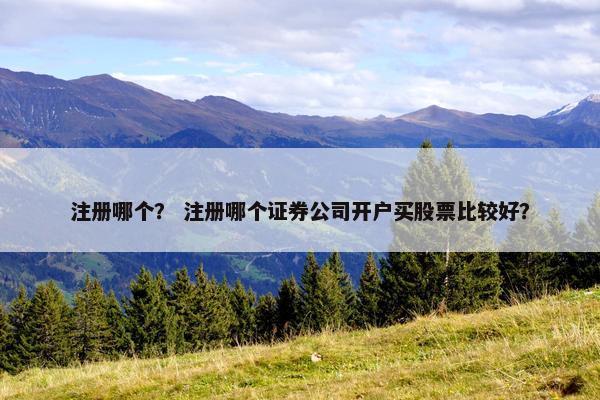 注册哪个？ 注册哪个证券公司开户买股票比较好？