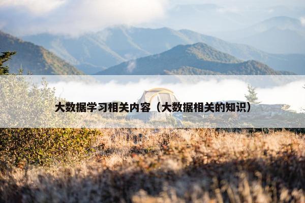 大数据学习相关内容（大数据相关的知识）