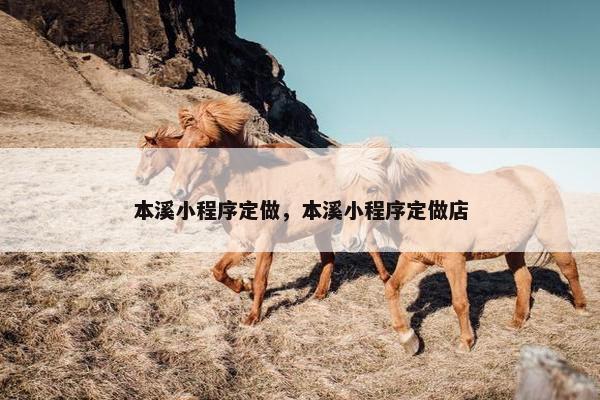 本溪小程序定做，本溪小程序定做店