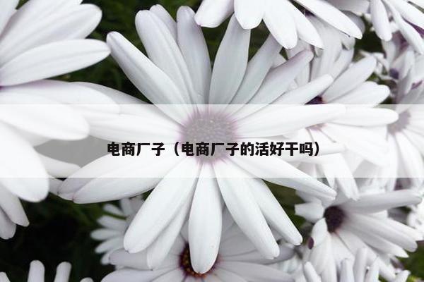 电商厂子（电商厂子的活好干吗）