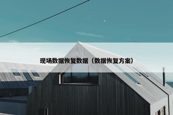 现场数据恢复数据（数据恢复方案）