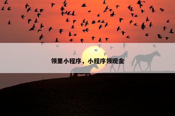 领里小程序，小程序领现金
