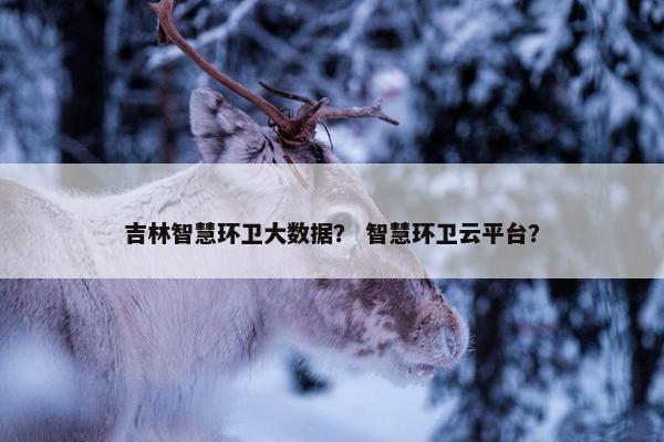 吉林智慧环卫大数据？ 智慧环卫云平台？