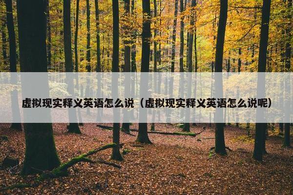 虚拟现实释义英语怎么说（虚拟现实释义英语怎么说呢）