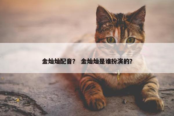 金灿灿配音？ 金灿灿是谁扮演的？