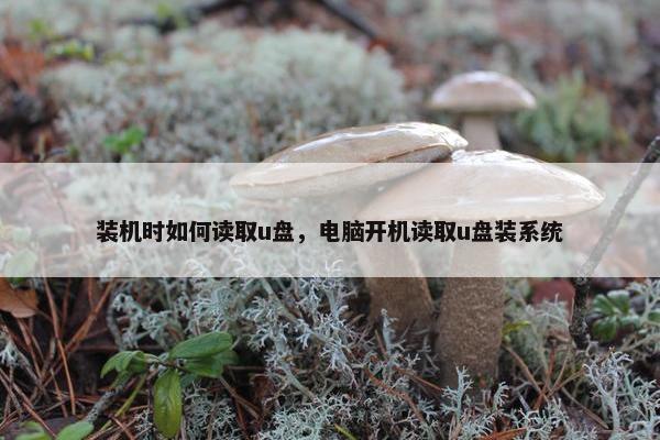 装机时如何读取u盘，电脑开机读取u盘装系统