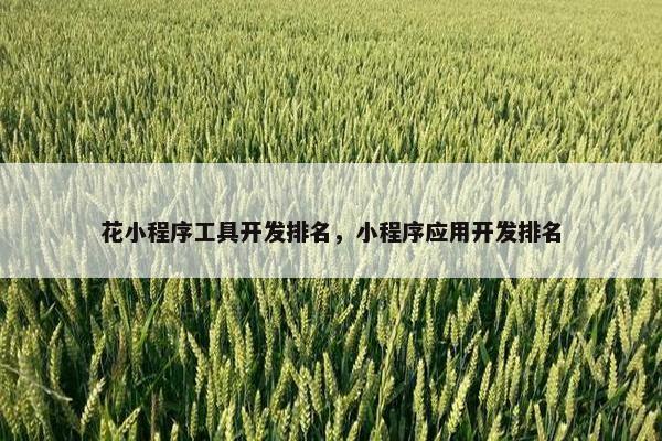 花小程序工具开发排名，小程序应用开发排名
