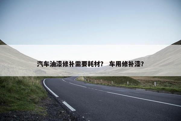 汽车油漆修补需要耗材？ 车用修补漆？