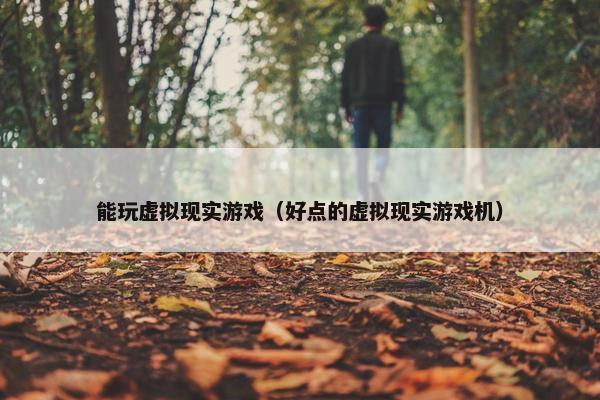 能玩虚拟现实游戏（好点的虚拟现实游戏机）