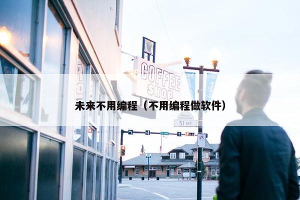 未来不用编程（不用编程做软件）