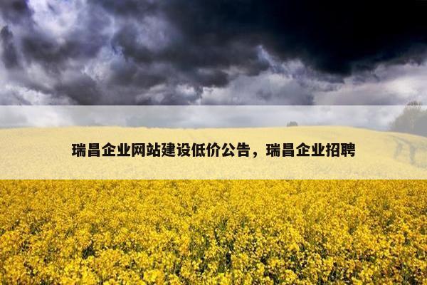 瑞昌企业网站建设低价公告，瑞昌企业招聘
