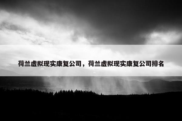 荷兰虚拟现实康复公司，荷兰虚拟现实康复公司排名