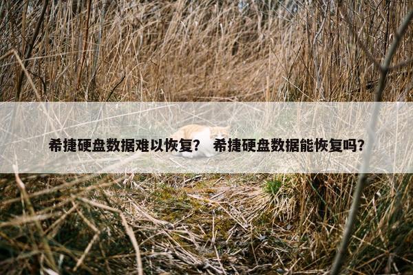 希捷硬盘数据难以恢复？ 希捷硬盘数据能恢复吗？