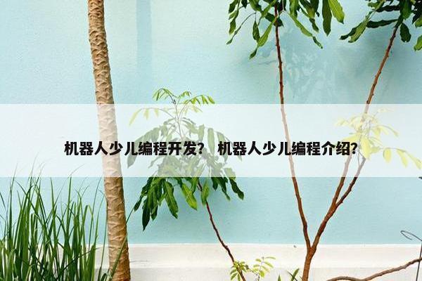 机器人少儿编程开发？ 机器人少儿编程介绍？