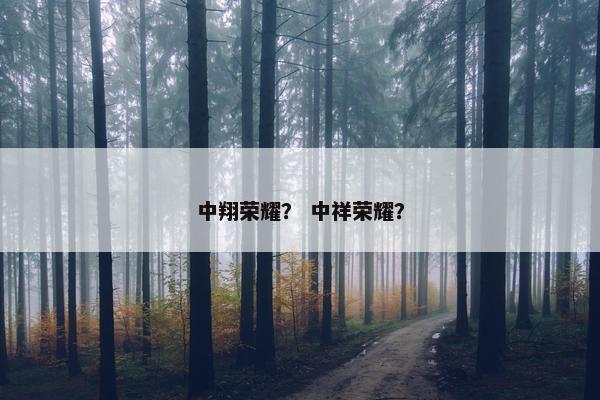 中翔荣耀？ 中祥荣耀？