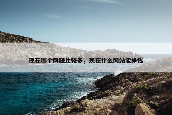 现在哪个网赚比较多，现在什么网站能挣钱