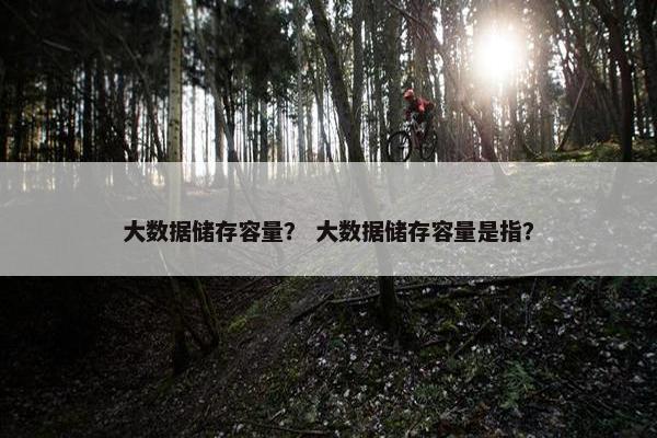 大数据储存容量？ 大数据储存容量是指？