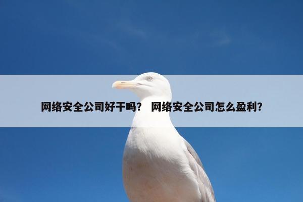 网络安全公司好干吗？ 网络安全公司怎么盈利？