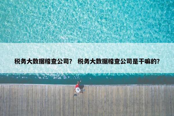 税务大数据稽查公司？ 税务大数据稽查公司是干嘛的？