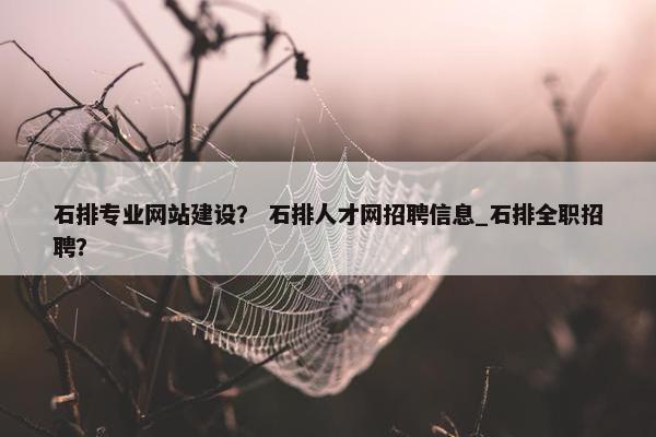 石排专业网站建设？ 石排人才网招聘信息_石排全职招聘？