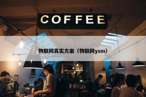 物联网真实方案（物联网ysm）